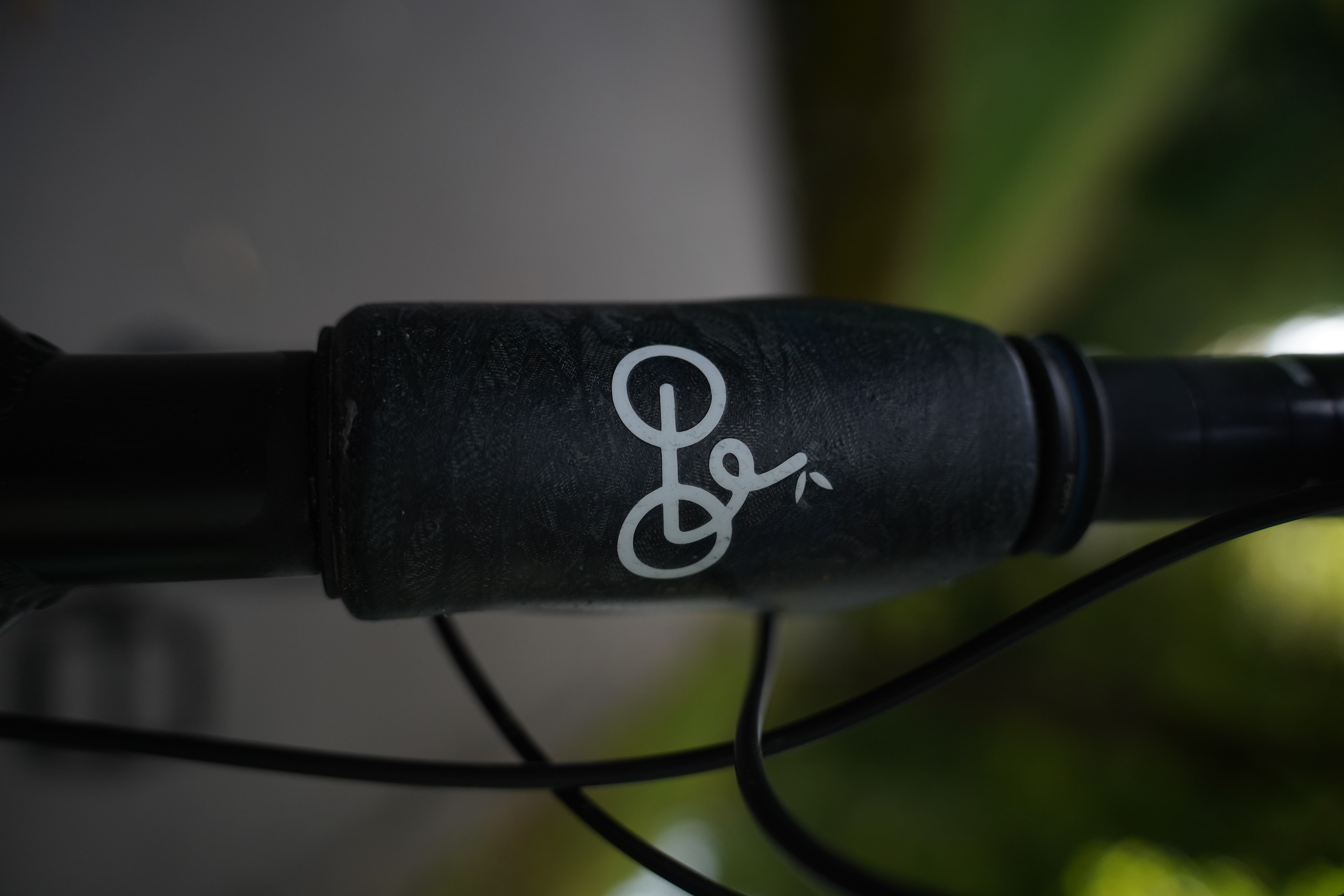 Bamboo detail
